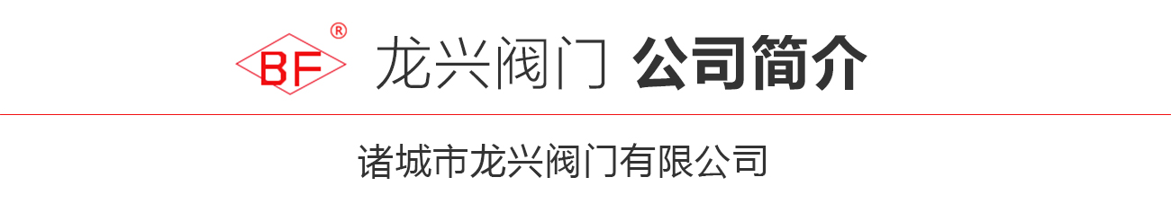 公司简介